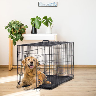 double decker dog kennel