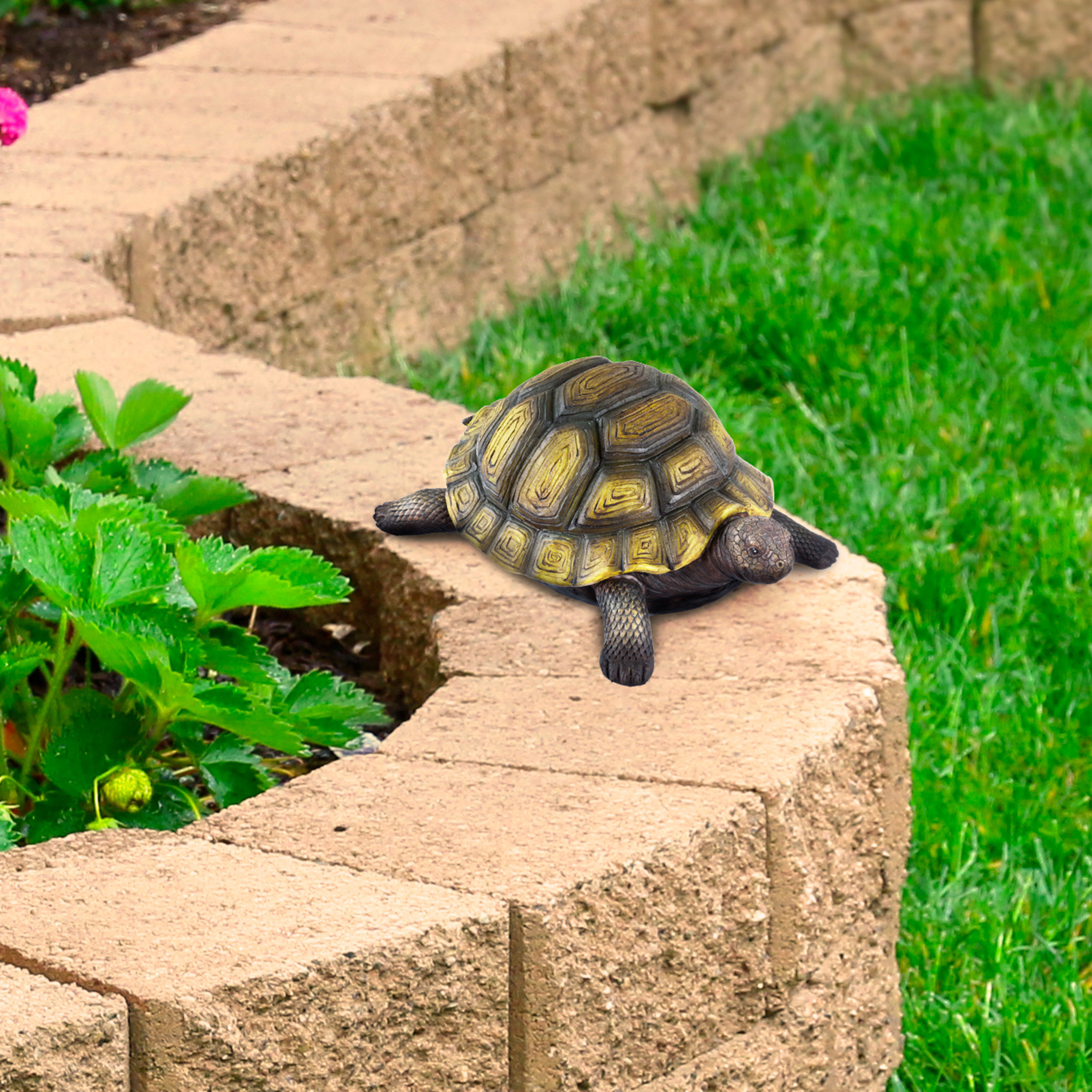 tortoise enclosure decor
