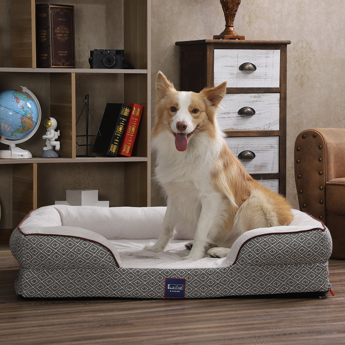 large dog couch
