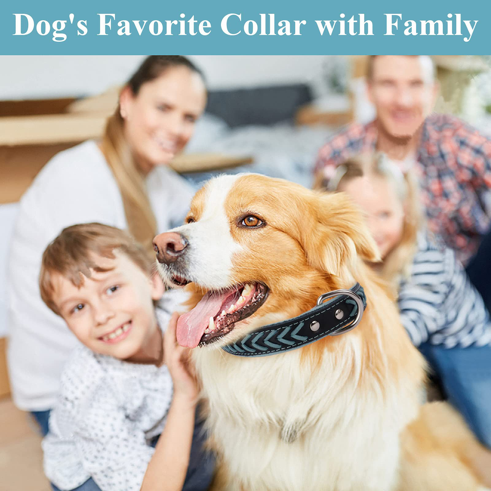 best durable dog collars