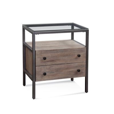 Mizel 2 - Drawer Nightstand in Graphite/Brown by Joss and Main