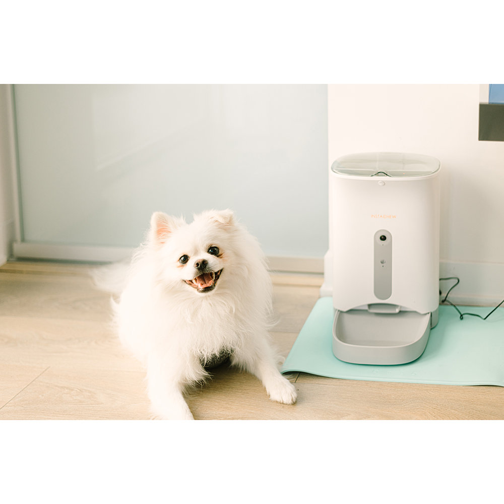 instachew smart pet feeder
