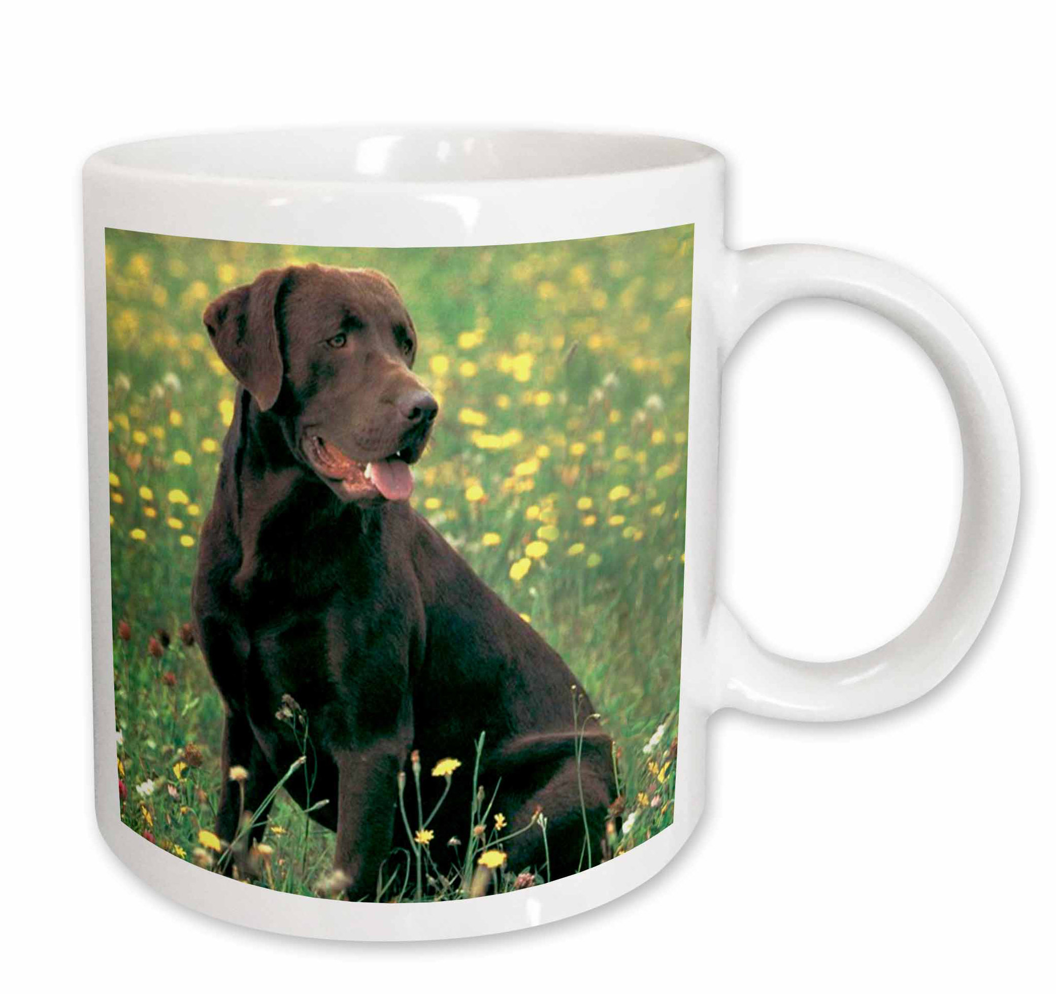 chocolate labrador mug