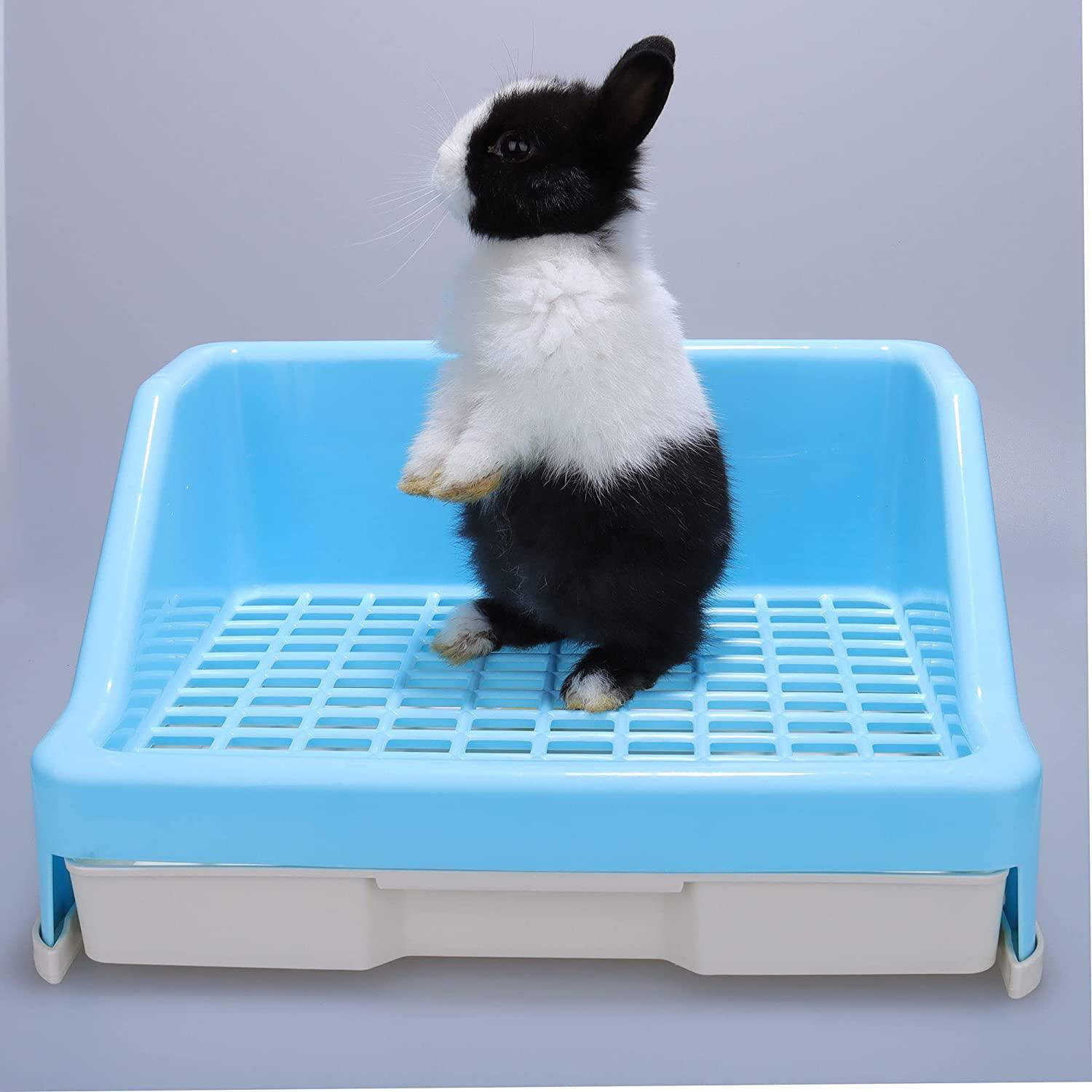 rabbit litter bedding