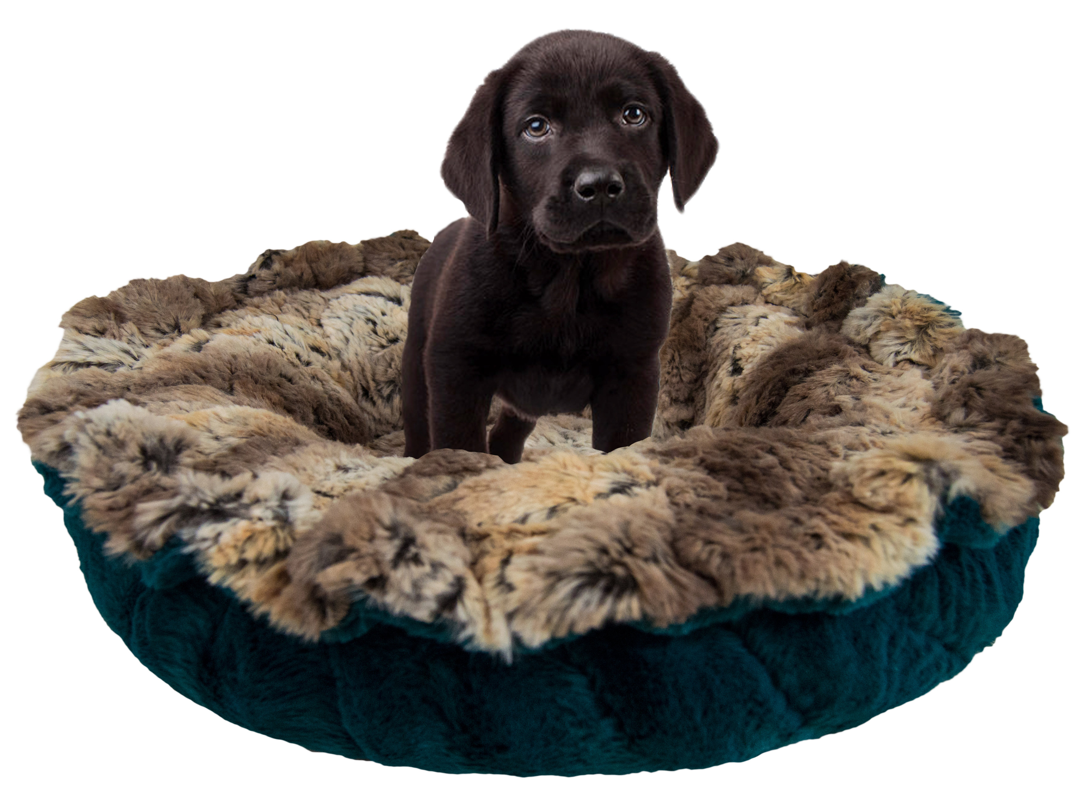 simba dog bed