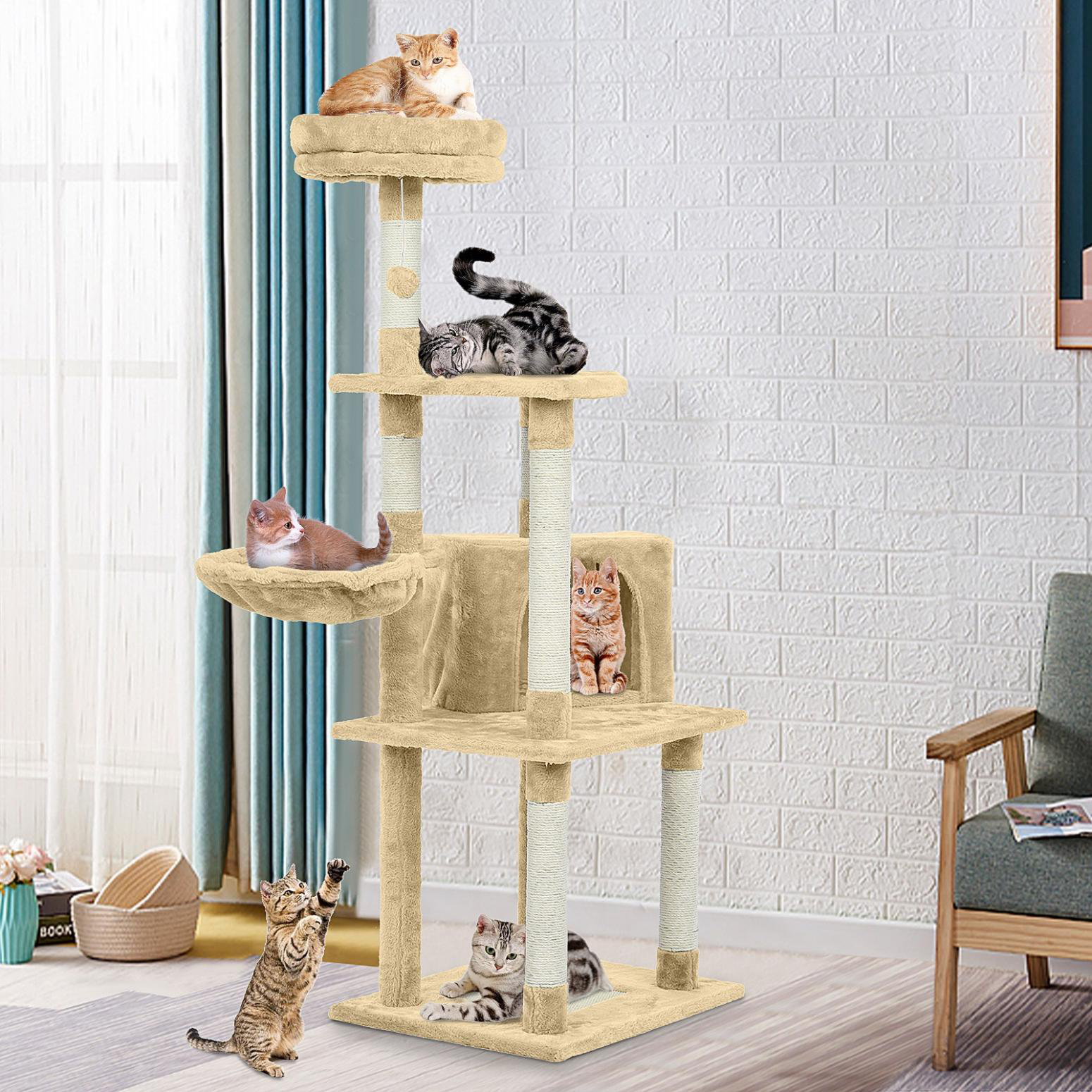 cat activity tree