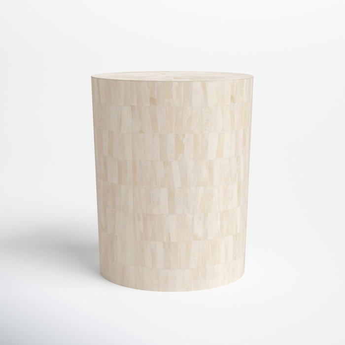 Joss and Main Munsey Bone Accent Stool