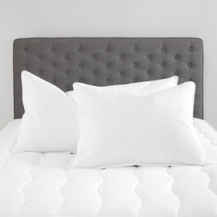 chaps beyond down pillow