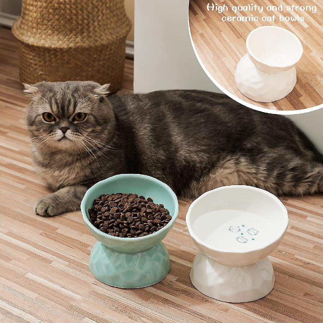 diy elevated cat feeder