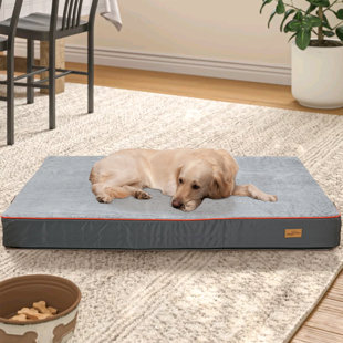 extra large raised dog bed