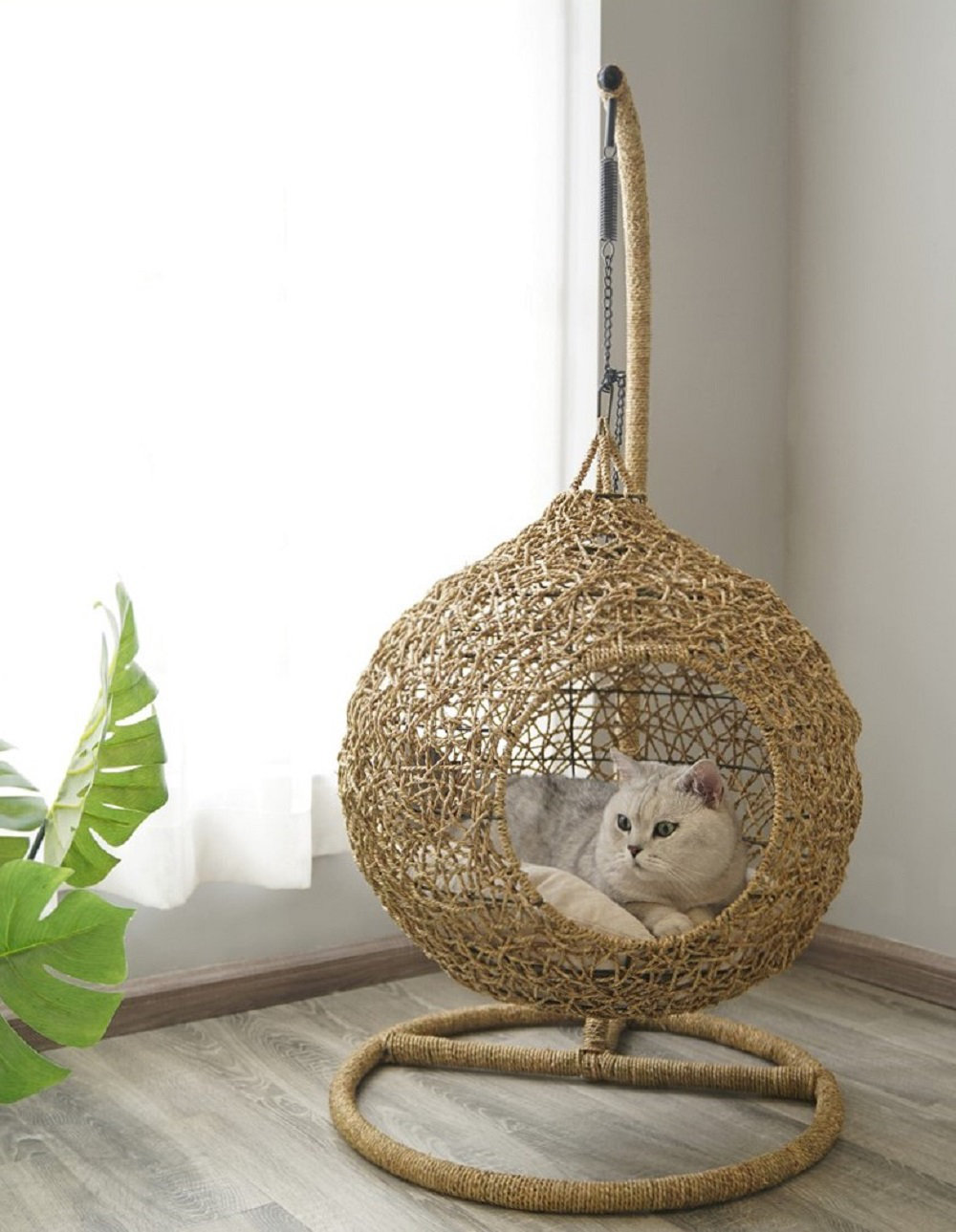 cat swing bed