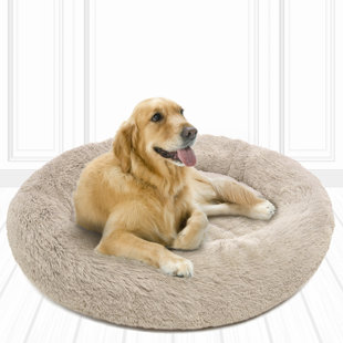 chew proof dog bed petsmart