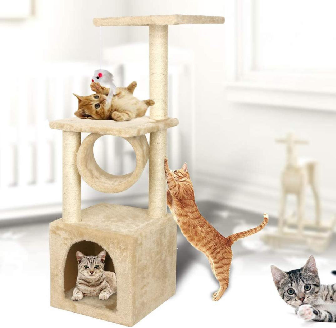 cat climbing tower