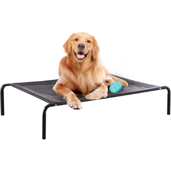medium raised dog bed