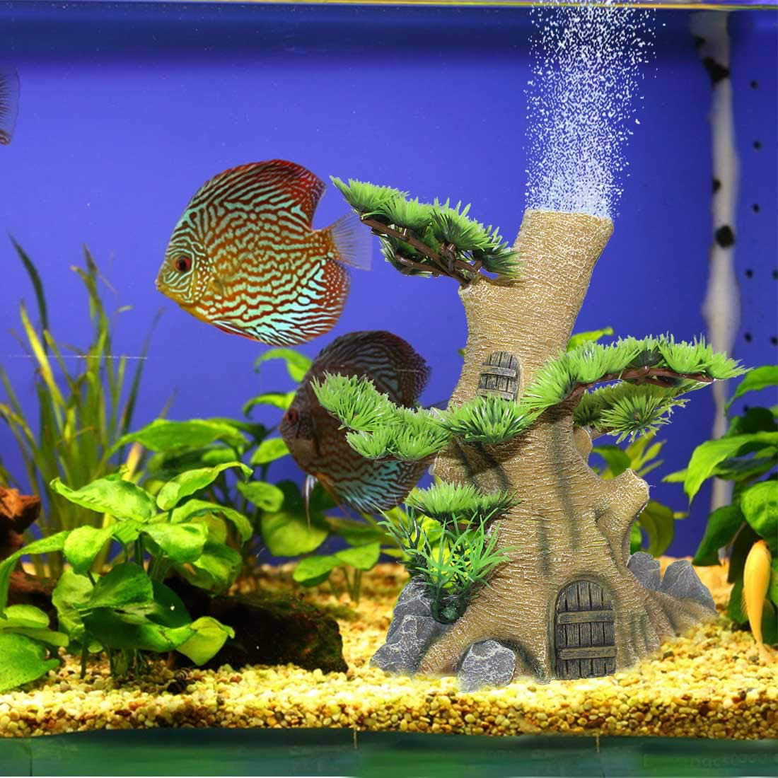 tree root aquarium decoration