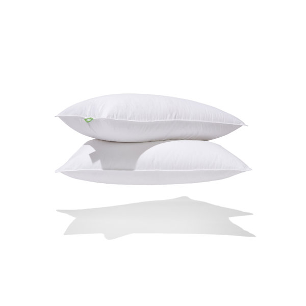 dove feather pillow