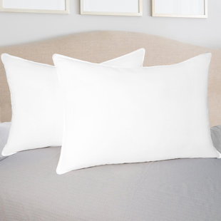 dutch euro pillow insert
