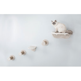 cat tree on the wall