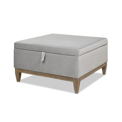 Eila 35" Wide Velvet Square Storage Ottoman by Joss and Main