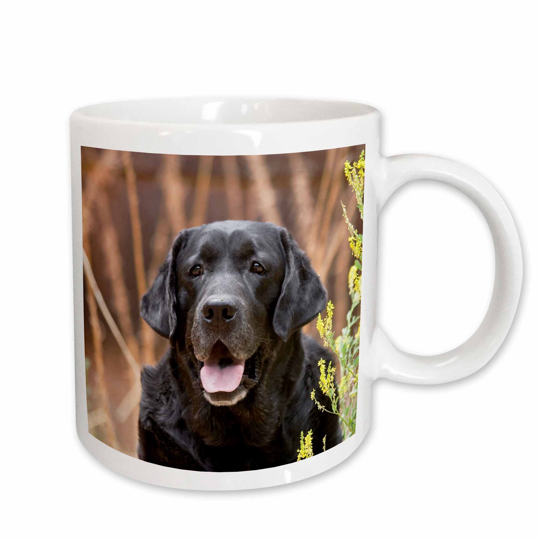 labrador mug