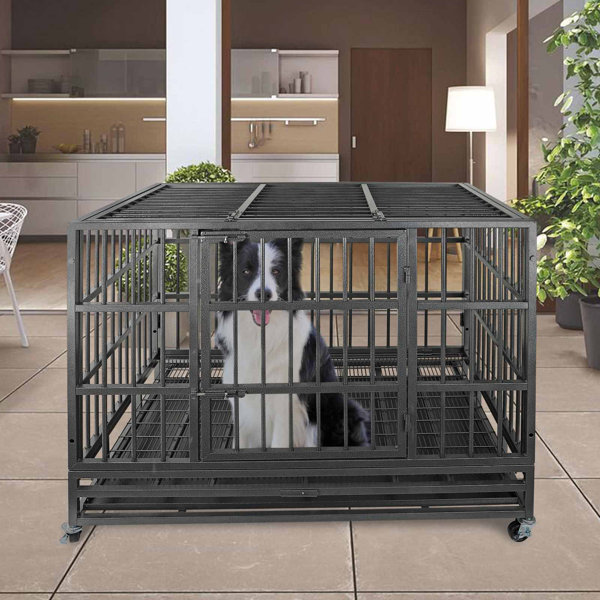 insert for dog crate