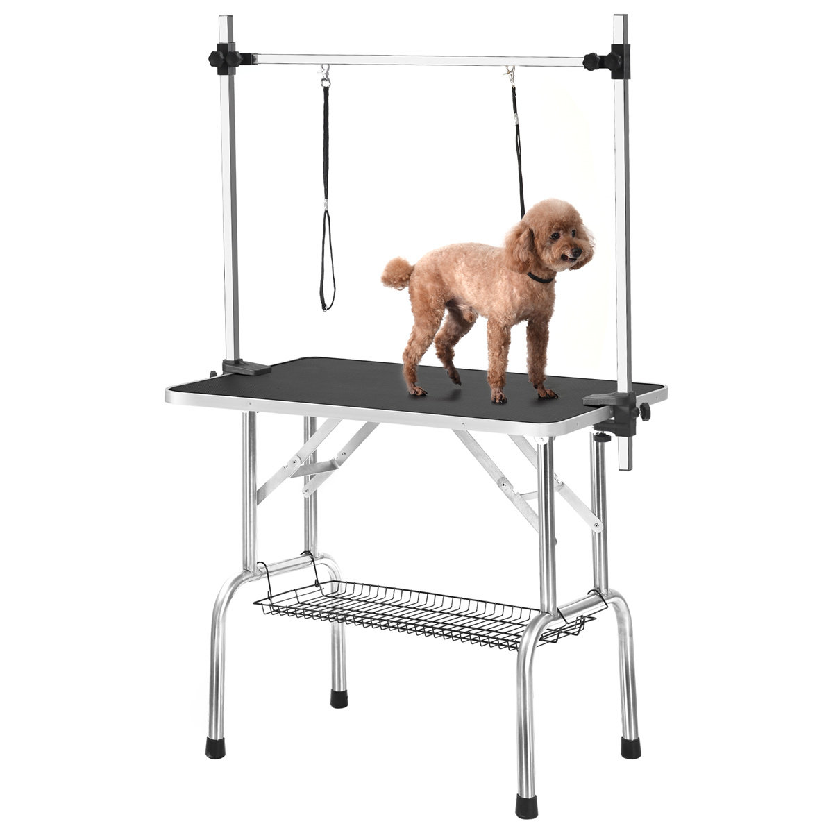 cat grooming stand