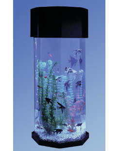 octagon fish tank