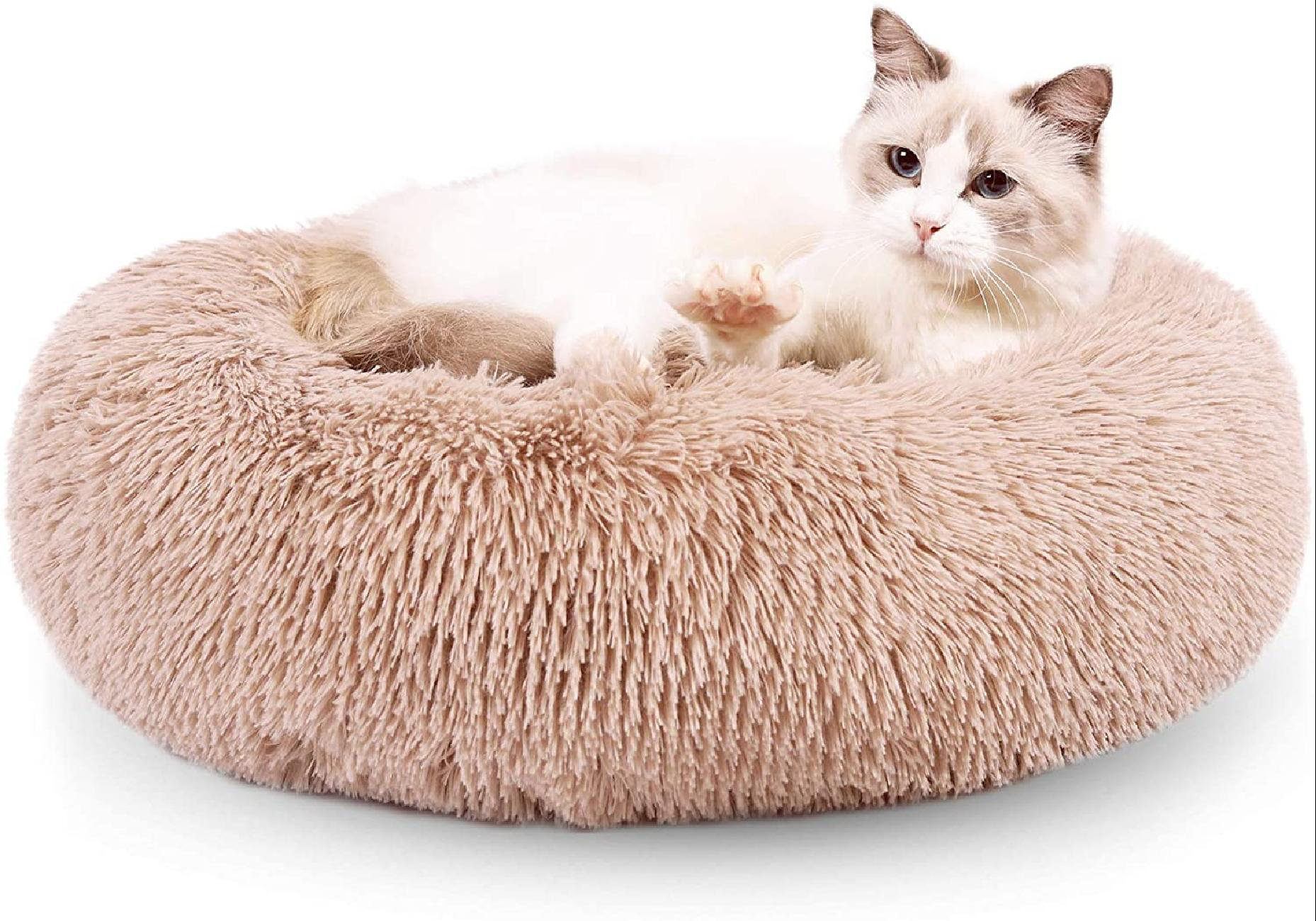 small round cat bed
