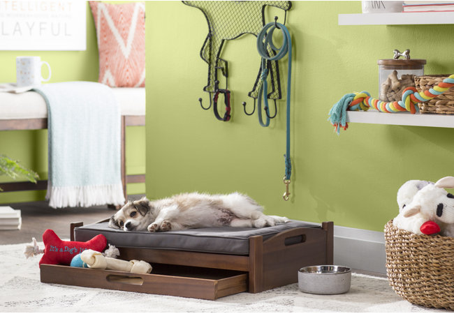 standard dog bed sizes