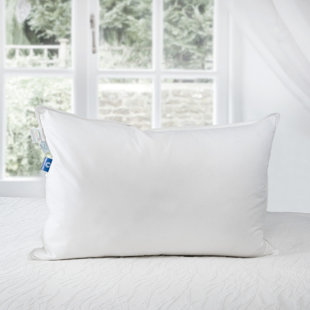 sobel westex pillows