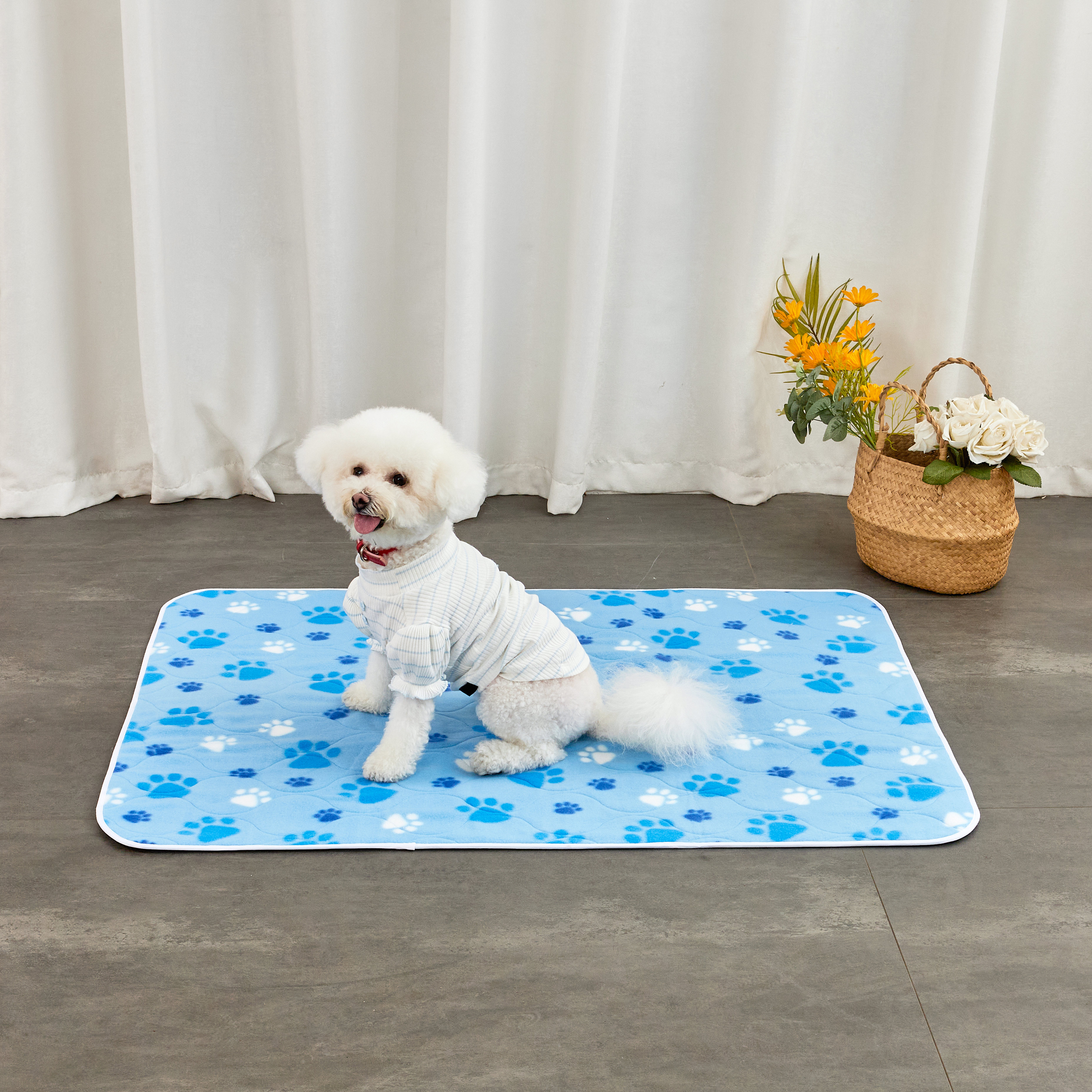 dog proof mat