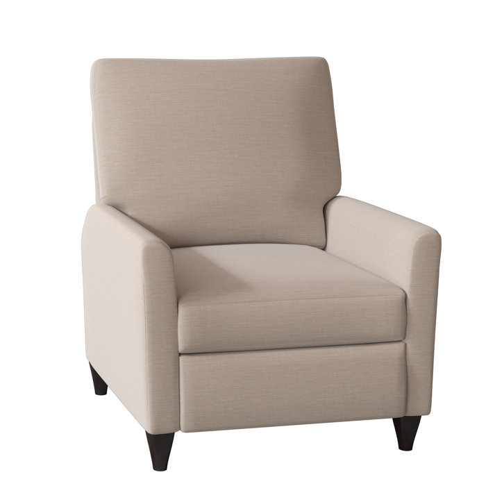 Wade Logan Ziolkowski 31" Wide Manual Recliner