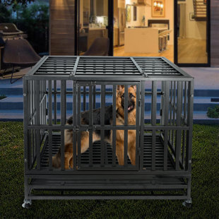 ll bean dog crate