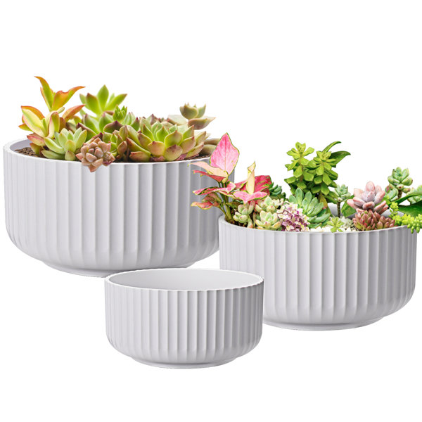 Classical Style Green Plants and Succulent Plant Pot Breathable Ceramic Flower Pot Combo B 