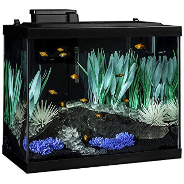 20 gallon starter kit