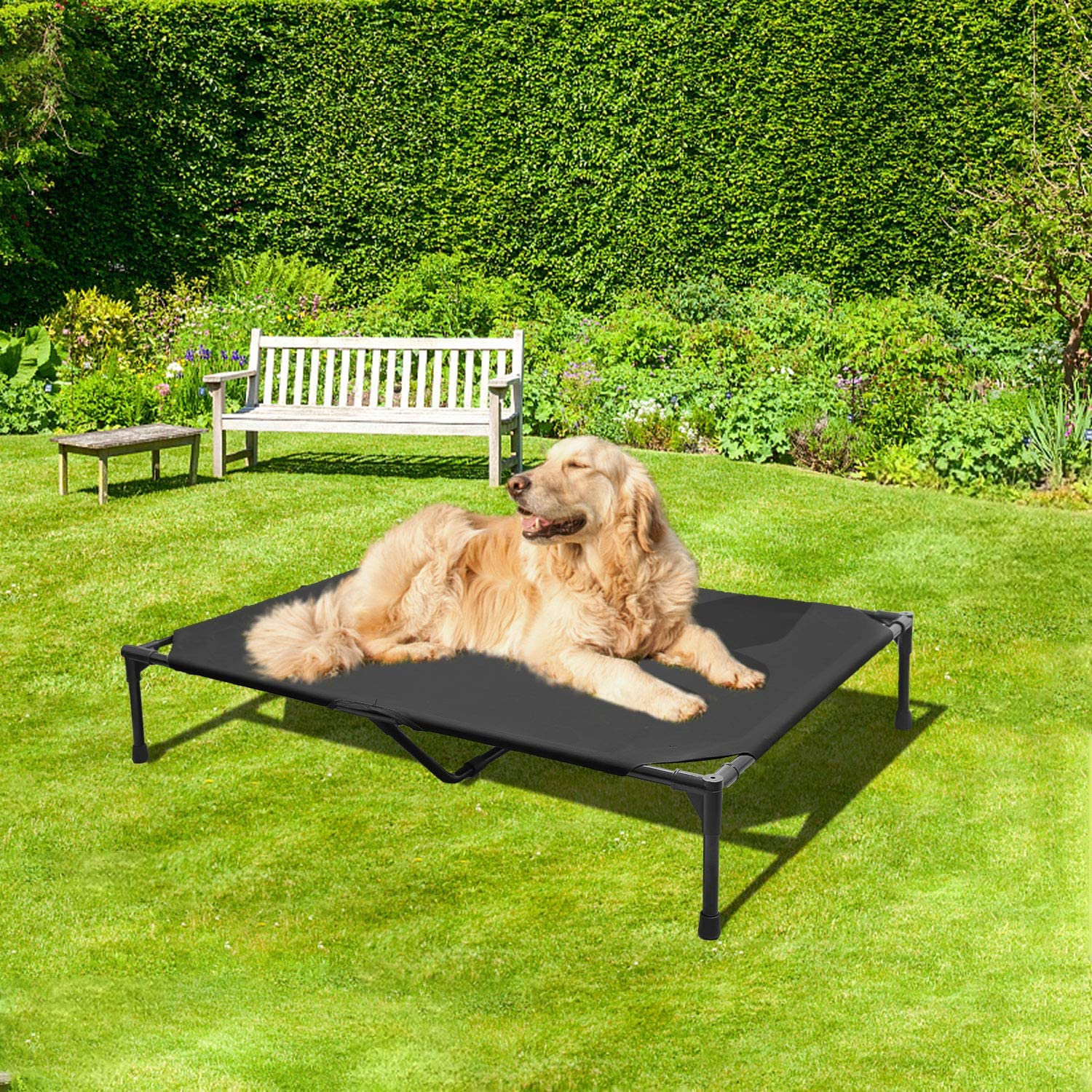 large pet cot