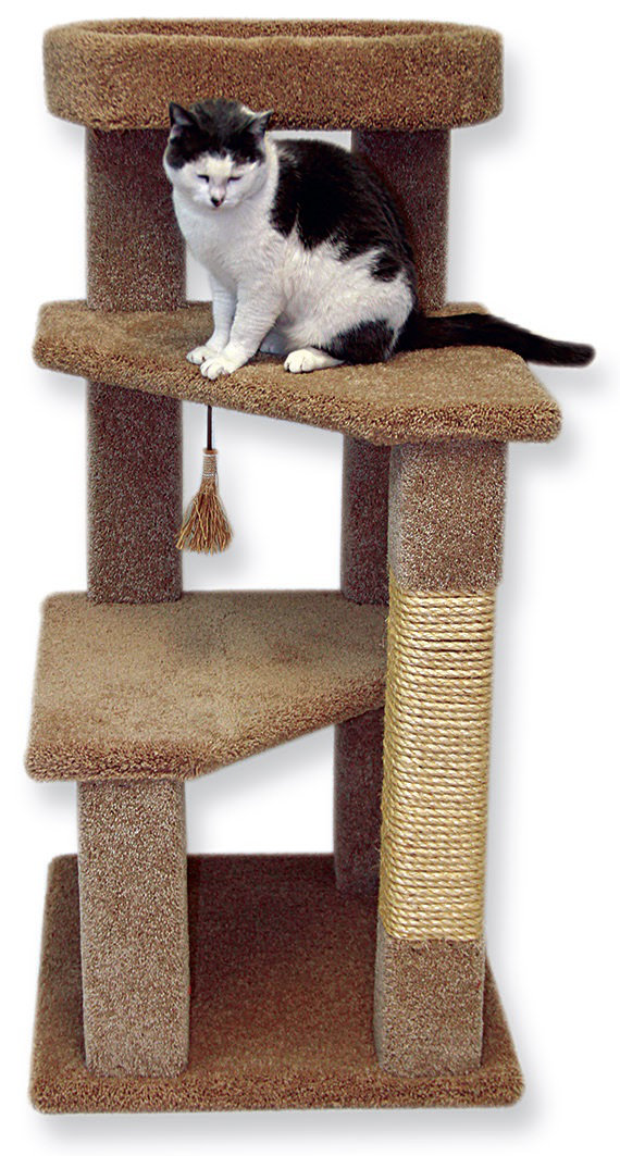 kitty cat tree