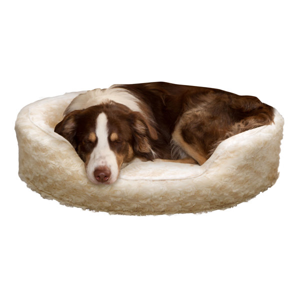cheap dog beds medium