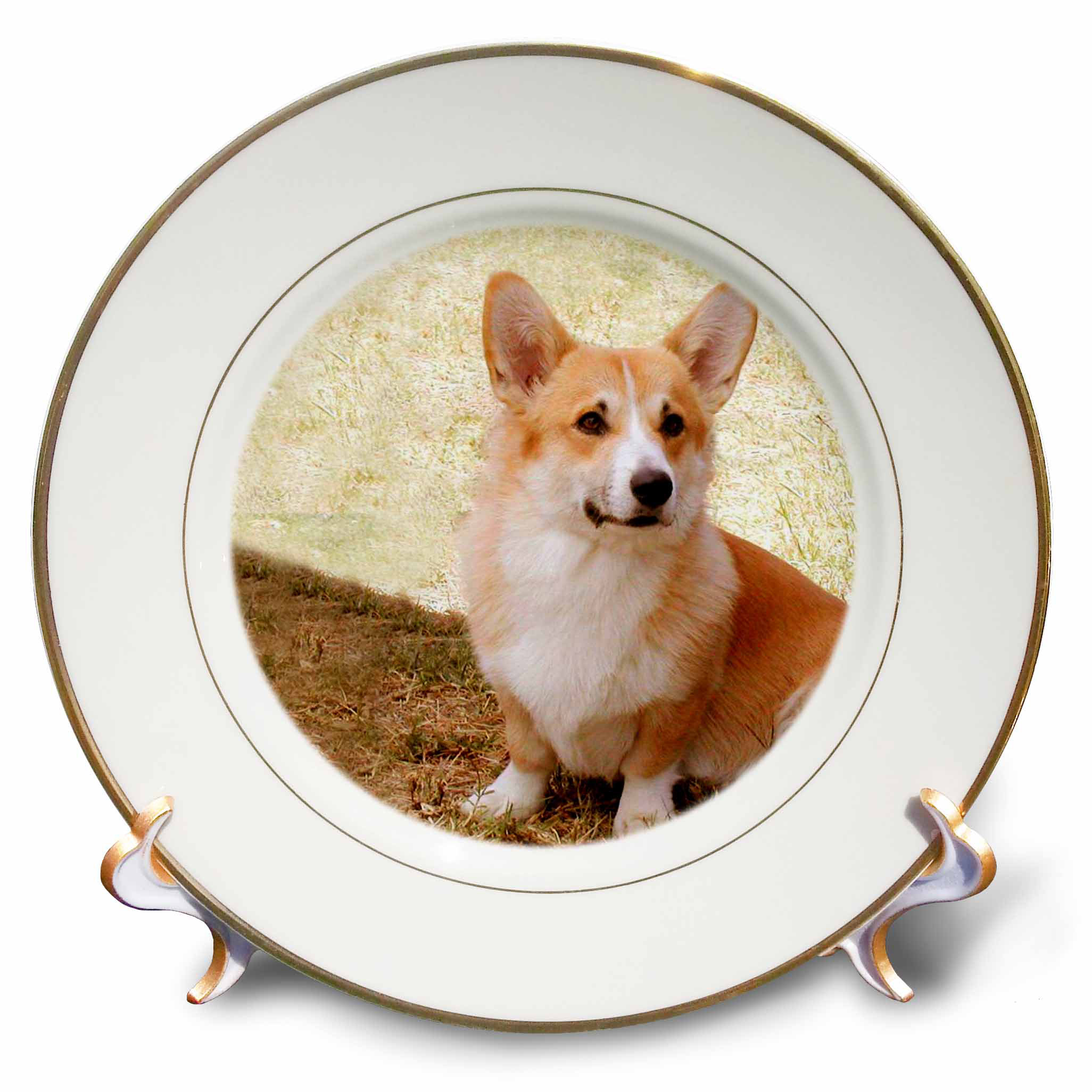 corgi plates