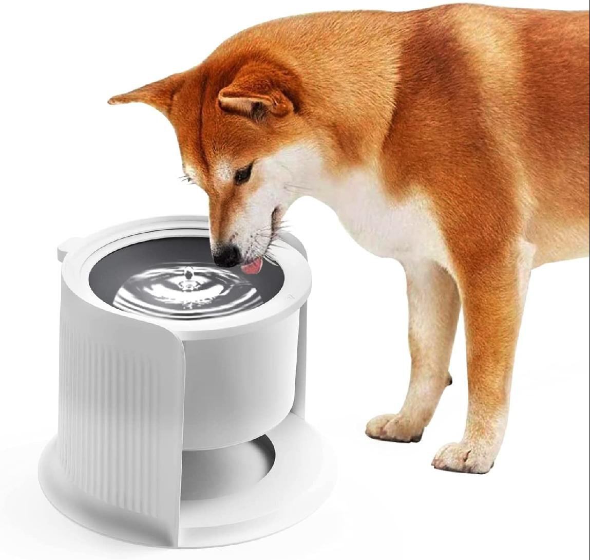 large dog water feeder