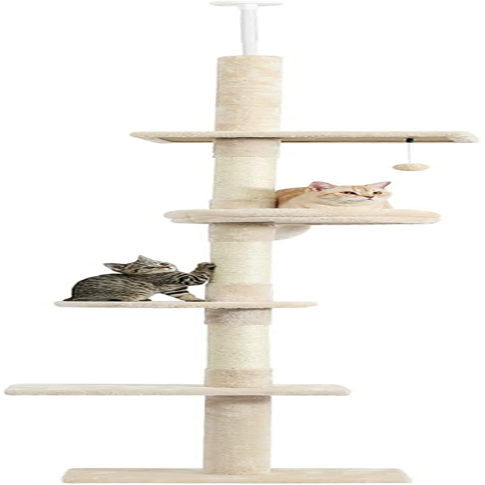 tall cat climbing tree