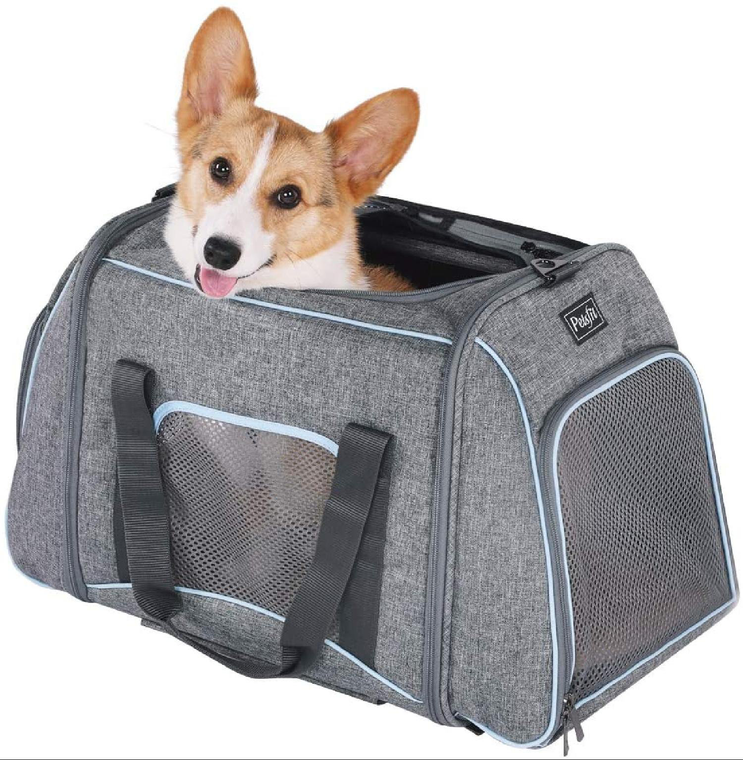 corgi dog carrier