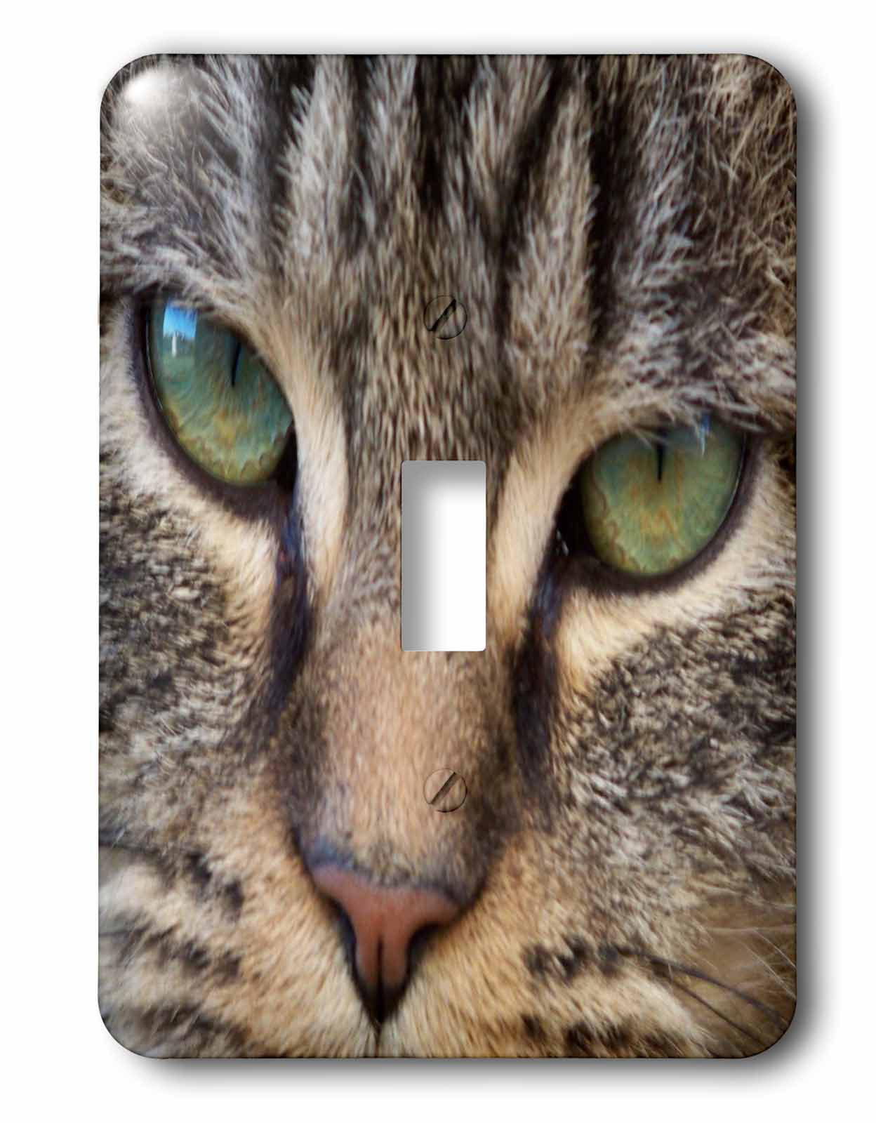 cat light switch cover