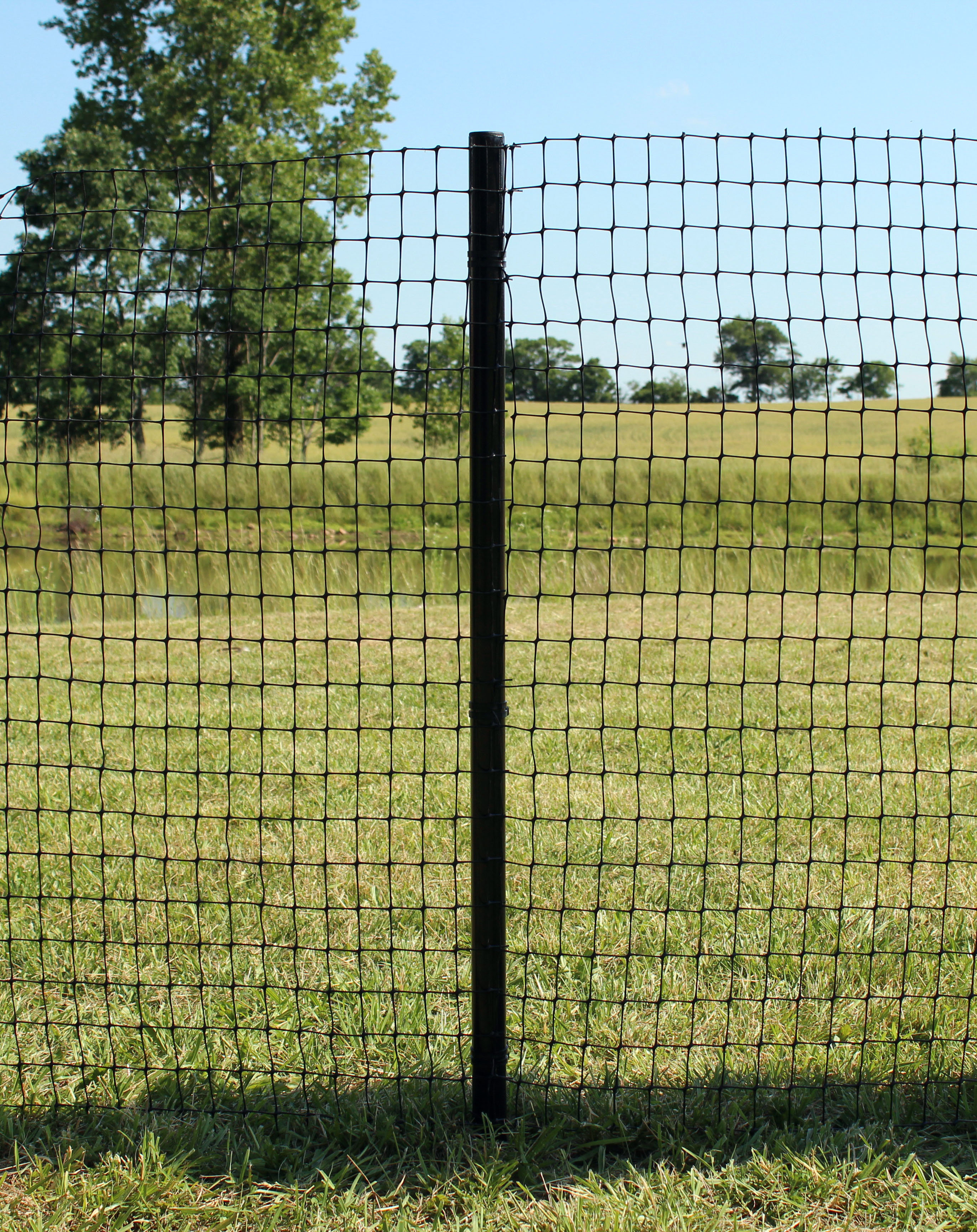 vinyl dog fence