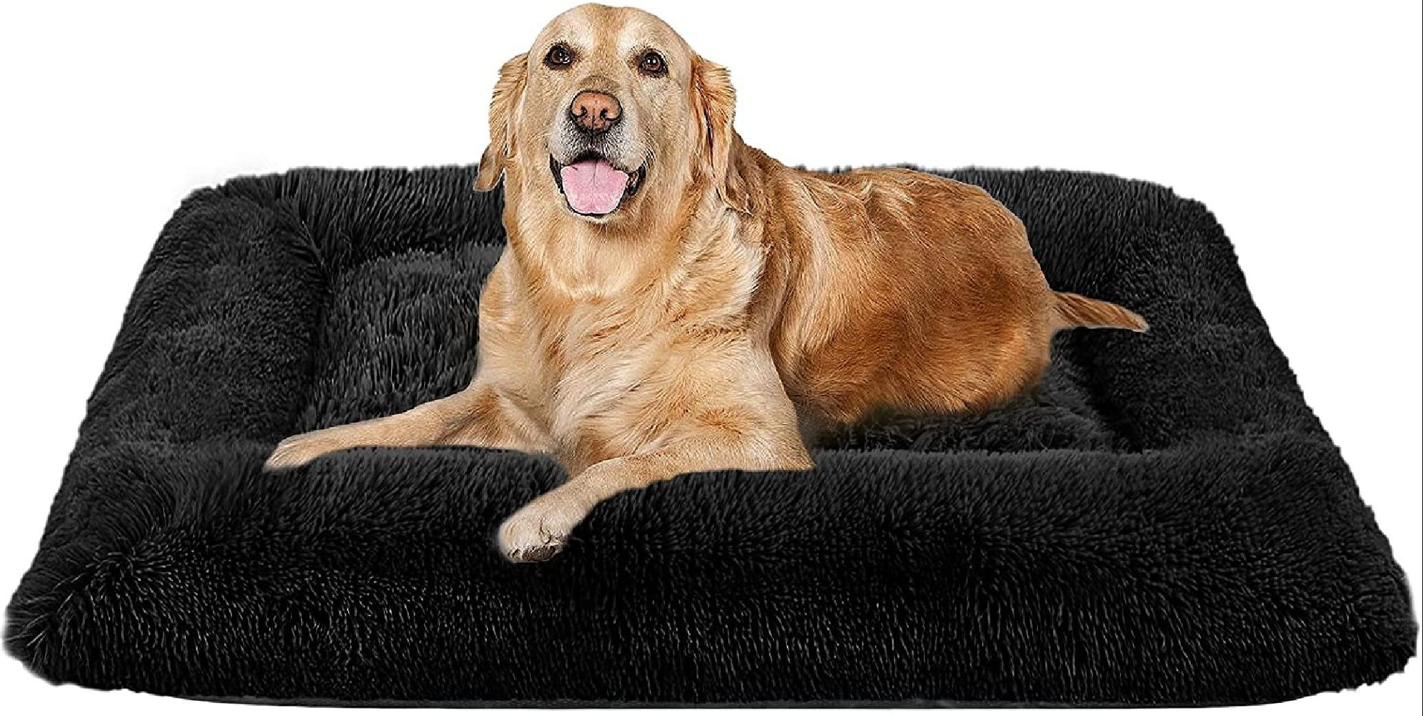 cheap dog beds medium