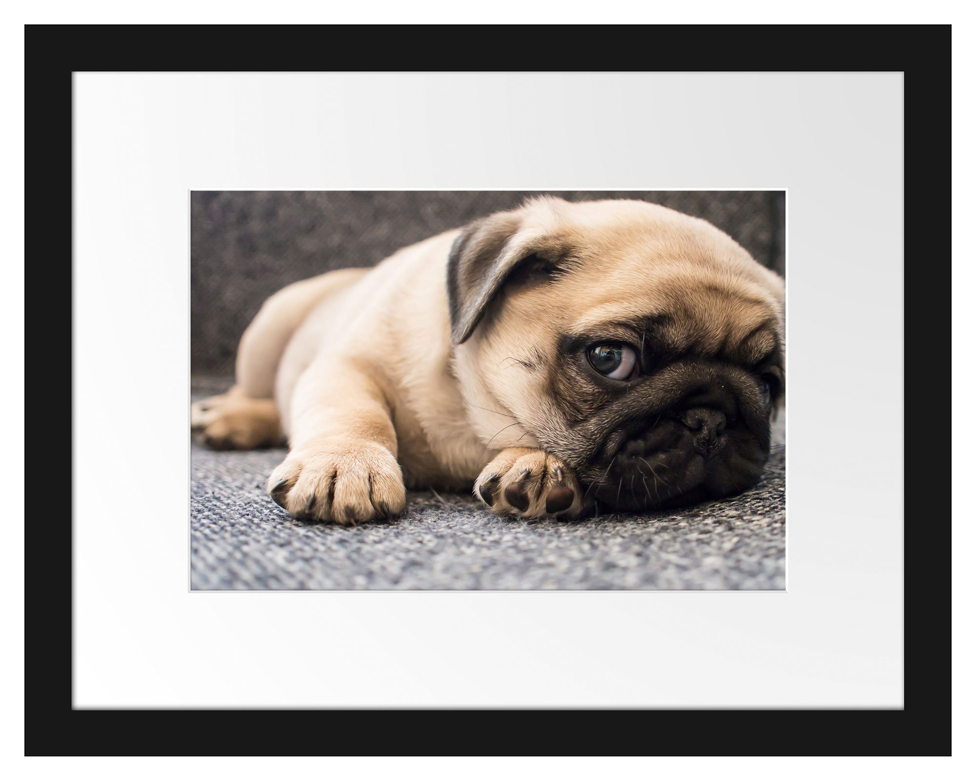 pug photo frame
