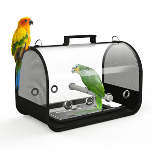 parrot transport cage