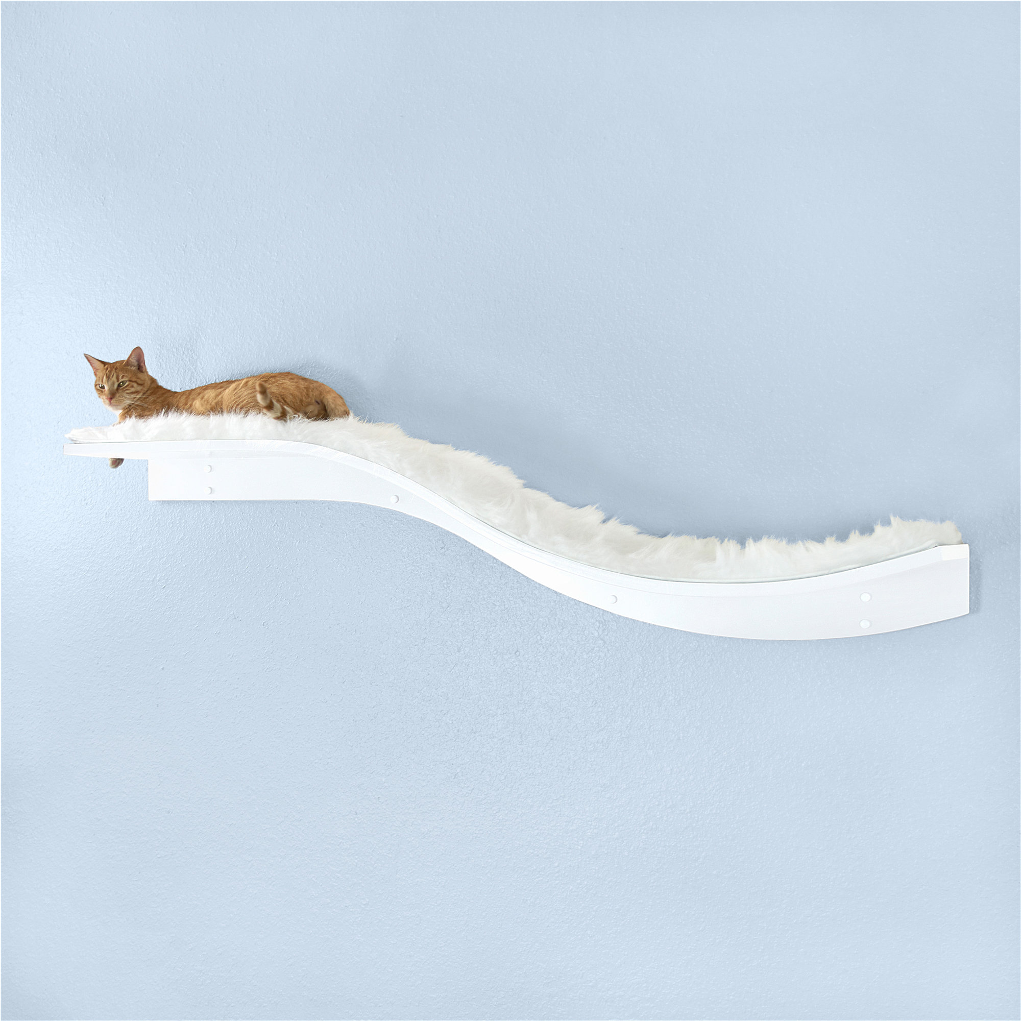 cat shelving system