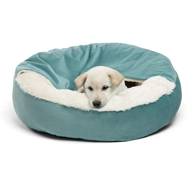 dog bed attachment