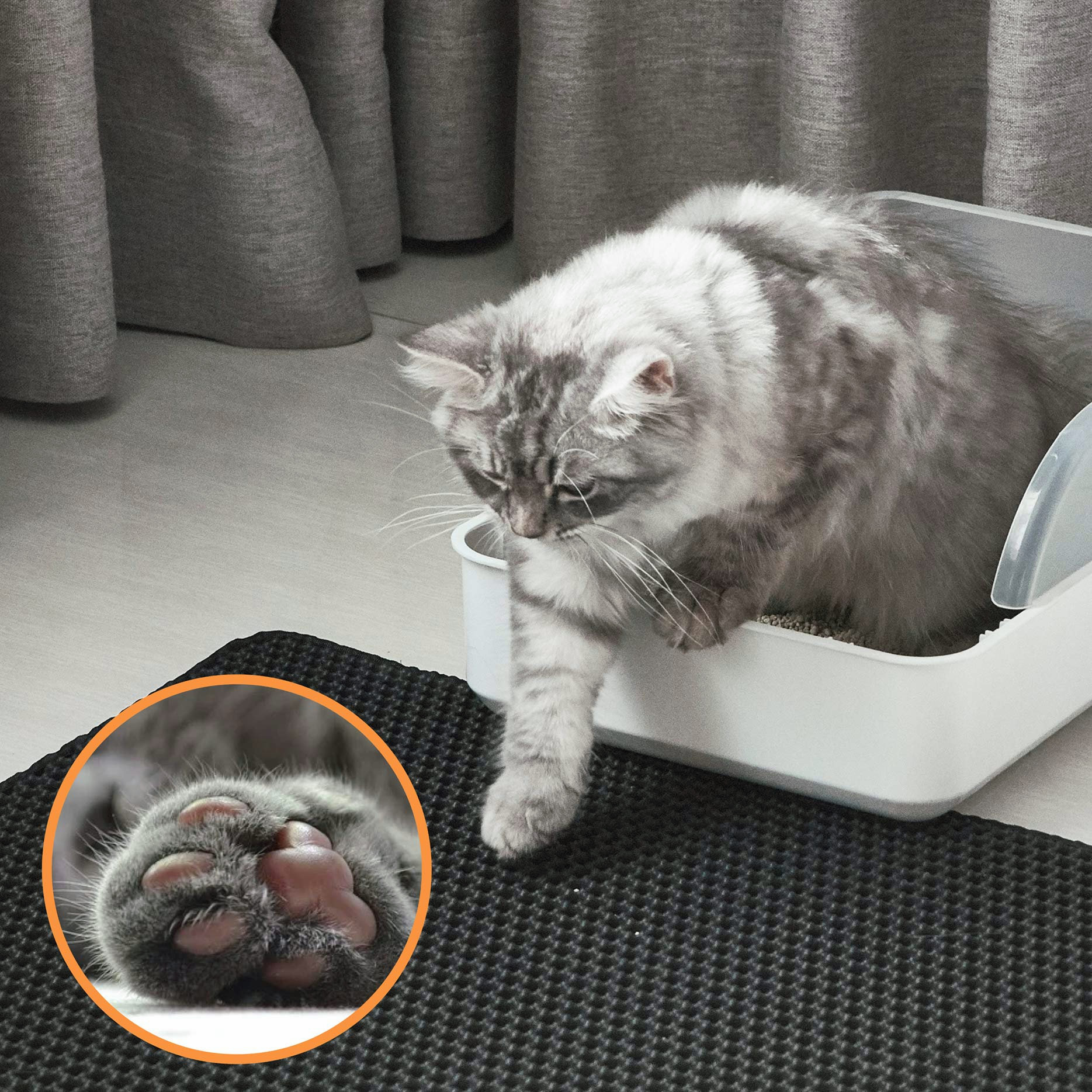 trap cat litter mat